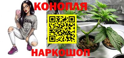амф Будённовск