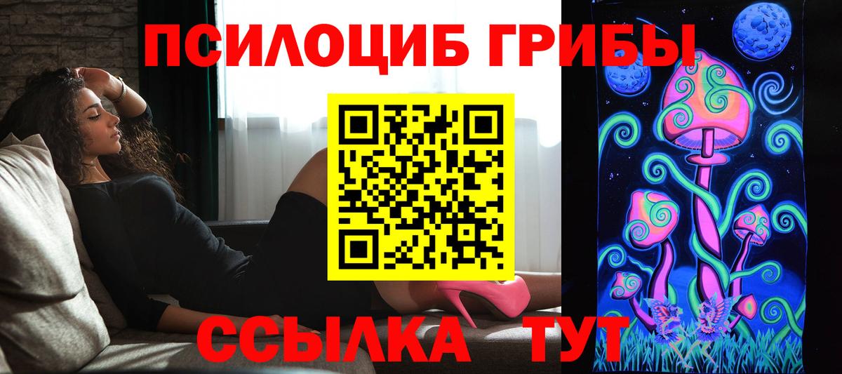 Ржев  Псилоцибиновые грибы Cubensis  Вход с VPN 