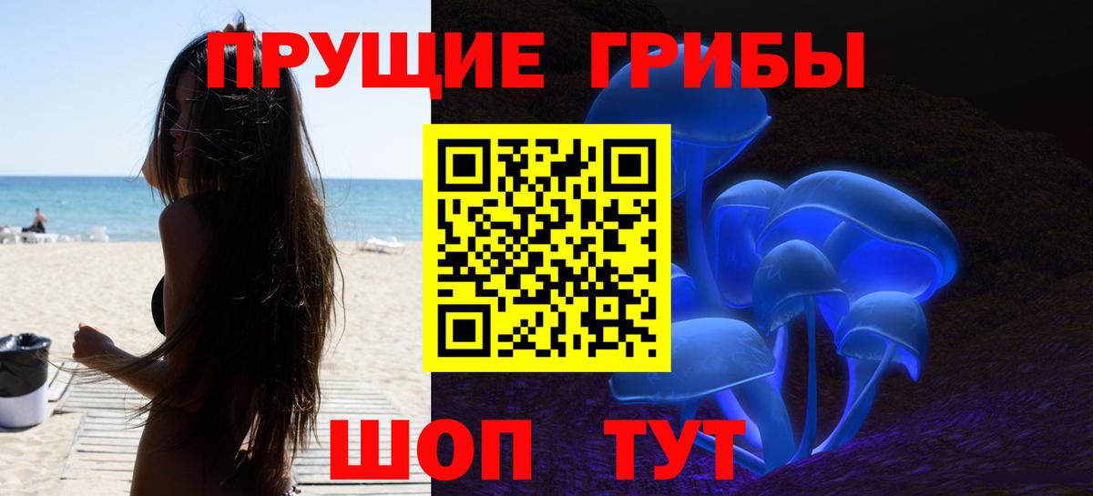 Галлюциногенные грибы Psilocybe Ржев